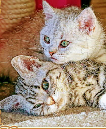 American Restaurant «Cracker Barrel Old Country Store», reviews and photos, 6941 Charlotte Pike, Nashville, TN 37209, USA