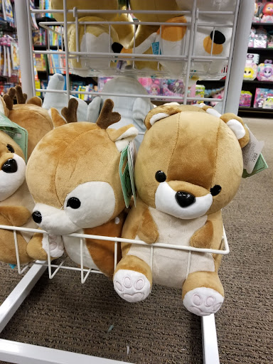 Book Store «Books-A-Million», reviews and photos, 3131 N Main St, Anderson, SC 29621, USA