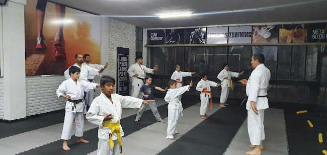 Opiniones de Budokan Dojo JKA Salto en Salto - Escuela