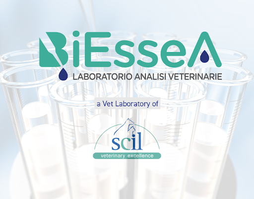 BiEsseA-scil Laboratorio Analisi Veterinarie