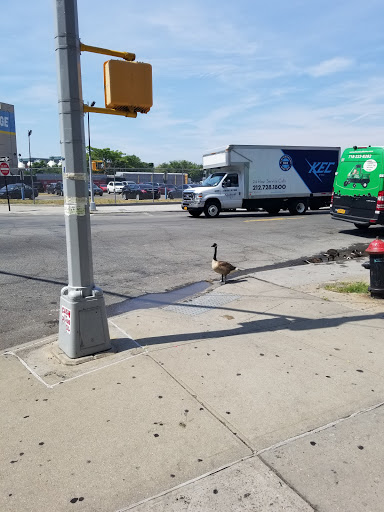 Self-Storage Facility «Access Self Storage», reviews and photos, 29-00 Review Ave, Long Island City, NY 11101, USA