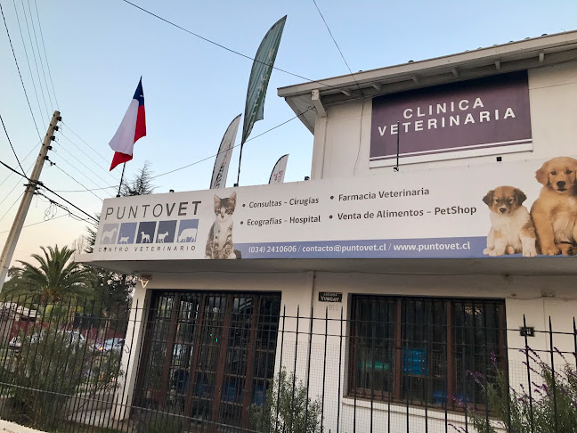 Centro Veterinario PuntoVet - San Felipe