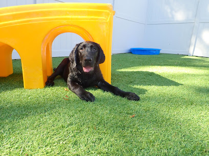 Dogtopia of Midlothian