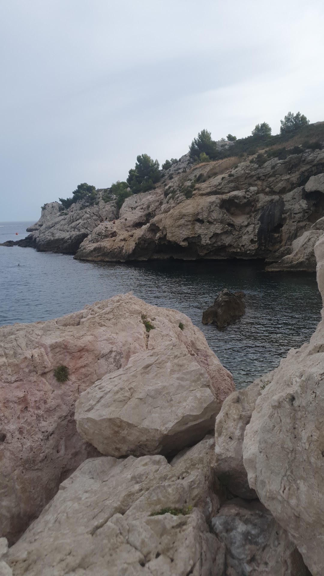 Photo n° 1 de l'avis de fethi.S fait le 10/08/2021 à 16:54