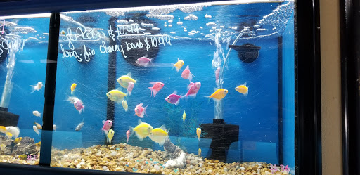 Tropical Fish Store «Caribbean Pets», reviews and photos, 298 Central Ave, Jersey City, NJ 07307, USA