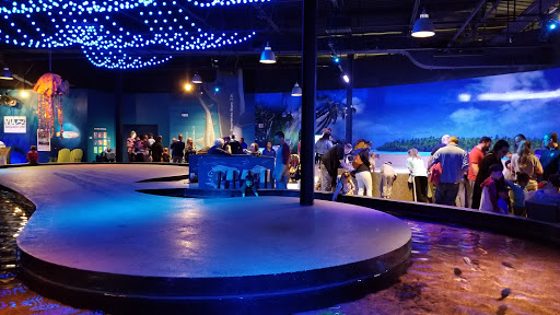 Aquarium «Via Aquarium», reviews and photos, 93 W Campbell Rd, Schenectady, NY 12306, USA
