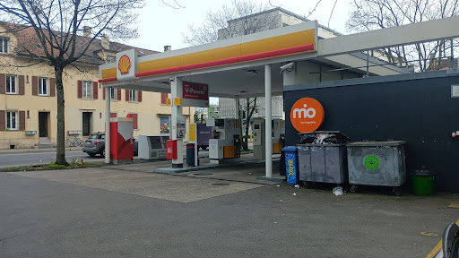 site_photo4