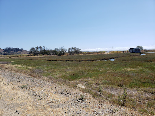 Furniture Store «Cost Plus World Market», reviews and photos, 2040 Redwood Hwy, Greenbrae, CA 94904, USA