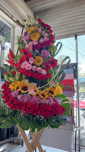 Floreria El Girasol – Manzanillo