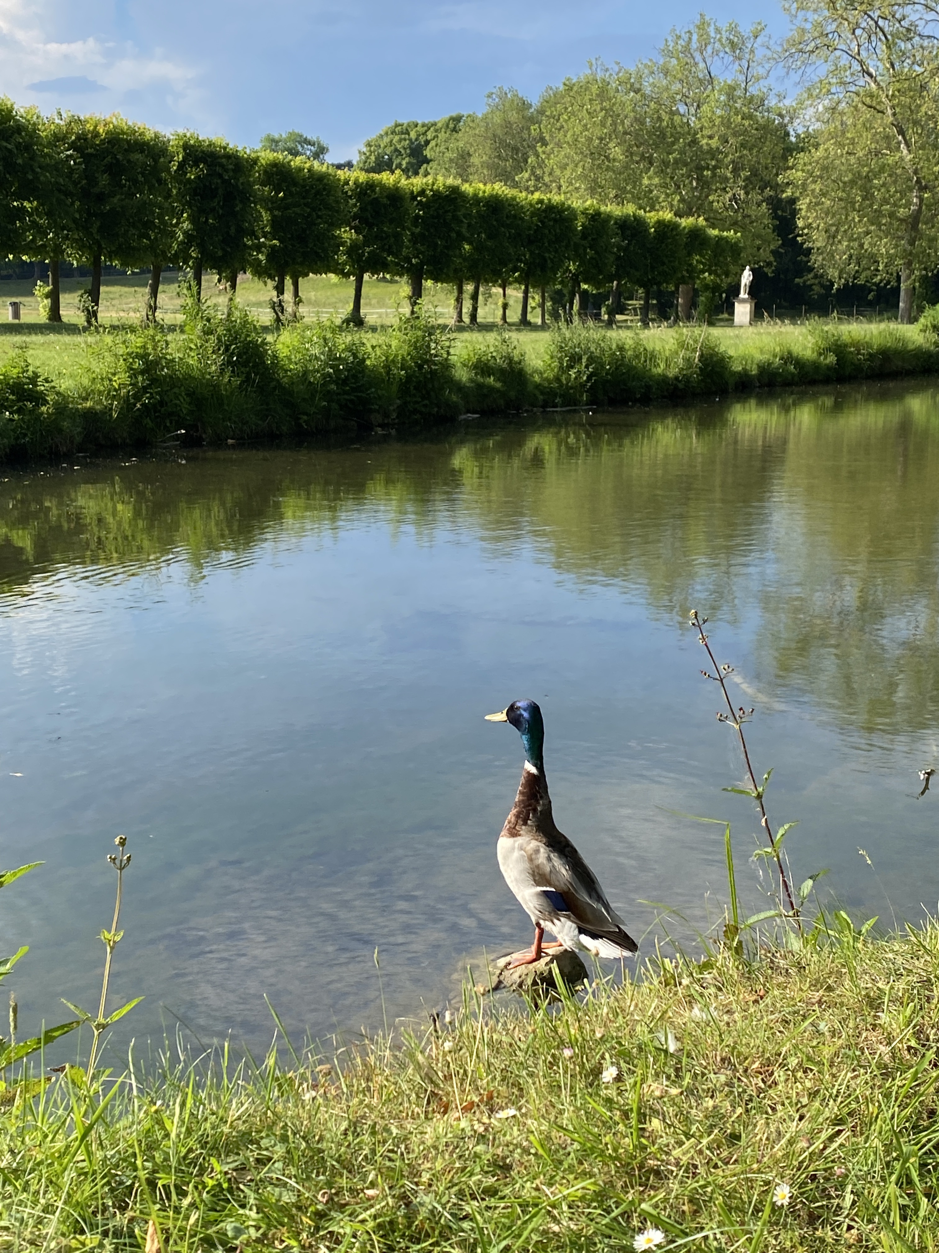 Photo n° 3 de l'avis de Harold.g fait le 22/06/2023 à 09:05