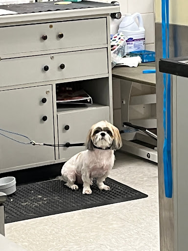 Pet Supply Store «Petco Animal Supplies», reviews and photos, 1111 US-46, Parsippany, NJ 07054, USA