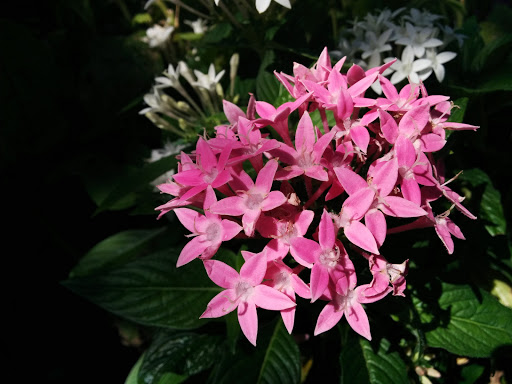 Wedding Venue «Brookshire», reviews and photos, 405 Greif Pkwy, Delaware, OH 43015, USA