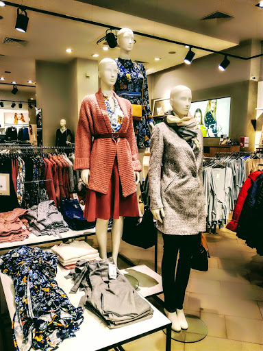 Stores to buy women's leggings Sofia