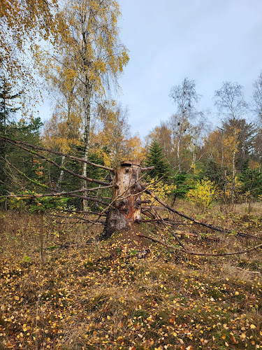 Thise Bakker - Brønderslev