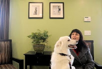 The Barkwood Inn Pet Resort - Photo 9 - Car repair in Charlton, MA, Worcester