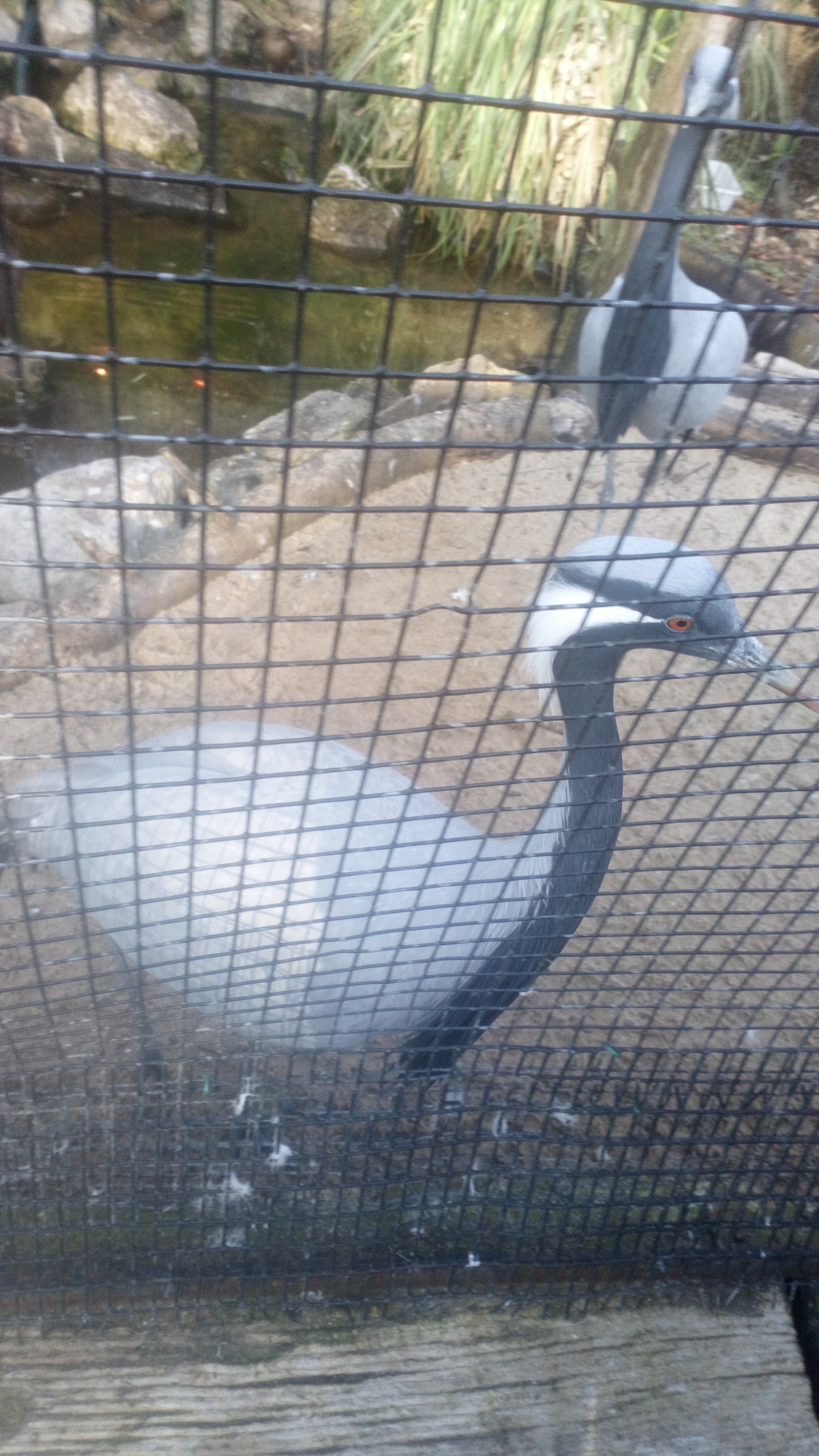 Photo n° 2 de l'avis de Kat.r fait le 24/08/2018 à 11:32