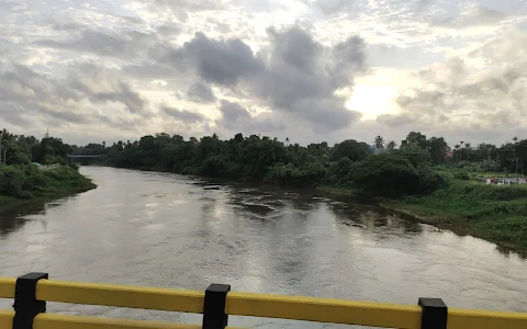 Chalakkudy River image