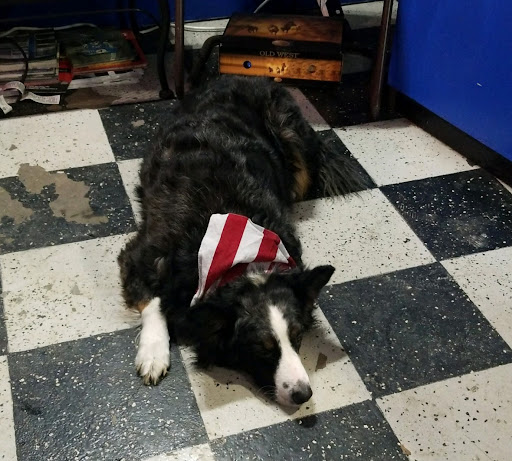 Auto Repair Shop «Dgn Customs», reviews and photos, 1070 Midland Ave, Midland, PA 15059, USA