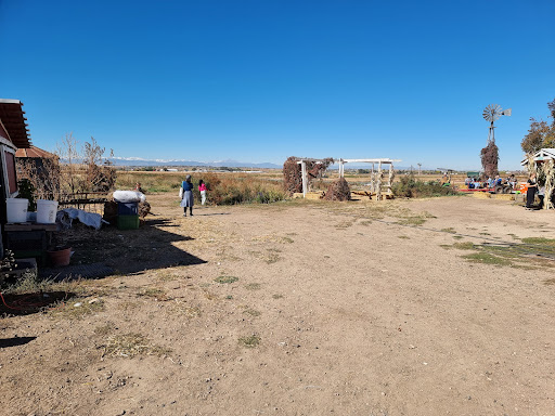 Produce Market «Berry Patch Farms», reviews and photos, 13785 Potomac St, Brighton, CO 80601, USA