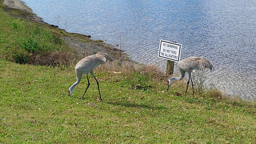 Golf Course «Indianwood Golf & Country Club», reviews and photos, 14007 SW Golf Club Dr, Indiantown, FL 34956, USA