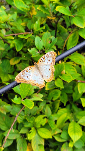 Zoo «Columbian Park Zoo», reviews and photos, 1915 Scott St, Lafayette, IN 47904, USA