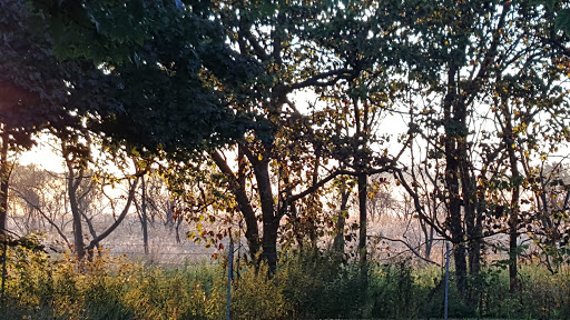 Jewelry Designer «Martha Richter Ltd», reviews and photos, 158 Welwyn Ct, Lake Bluff, IL 60044, USA