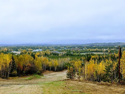 Tower Hill - Lookout & Sliding Hill