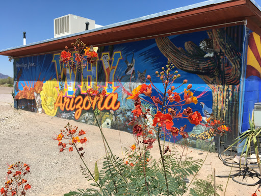 Convenience Store «Why Not Travel Store», reviews and photos