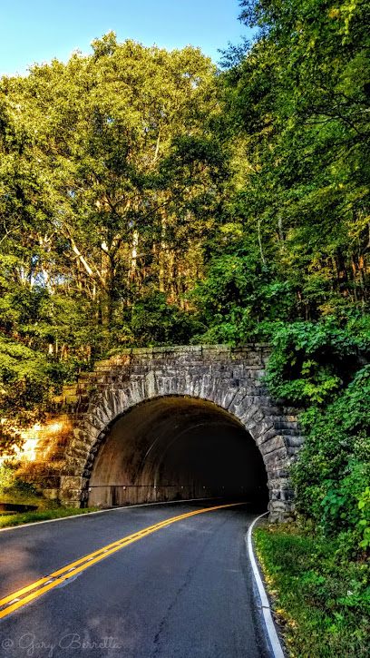Pinnacle Ridge Tunnel