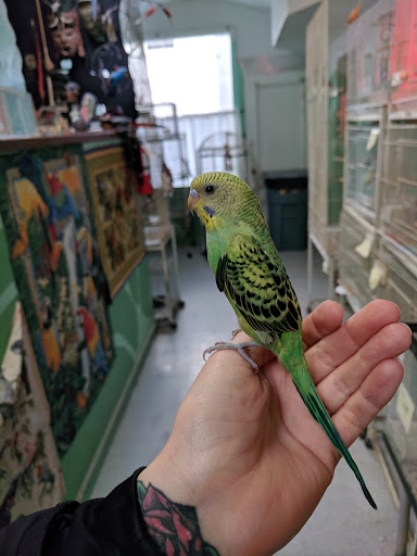 Pet Supply Store «The Animal Connection», reviews and photos, 2550 2550 Judah St & 31st Ave, San Francisco, CA 94122, USA