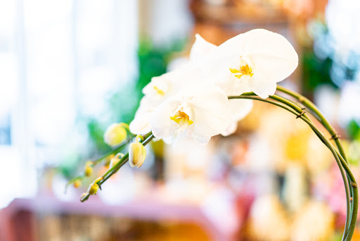 Florist «Clarksville Flower Station», reviews and photos, 13380 Clarksville Pike Suite A, Highland, MD 20777, USA