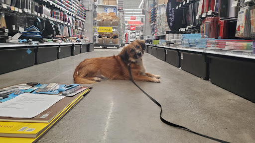 Craft Store «Michaels», reviews and photos, 579 Troy Schenectady Rd, Latham, NY 12110, USA