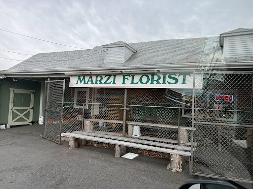 Marzi Florist Inc, 33 Fern St, New Britain, CT 06053, USA, 