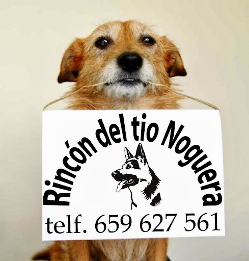 Club De Adiestramiento Canino Rincon Del Tio Noguera