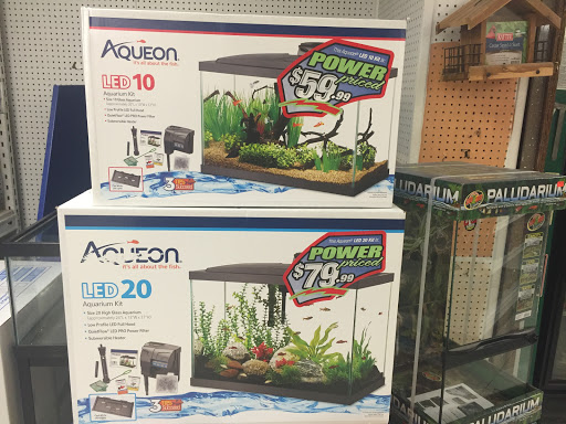 Pet Store «Precious Pets III», reviews and photos, 1091 US-130, Burlington, NJ 08016, USA