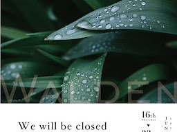 Walden Cafe & Bar