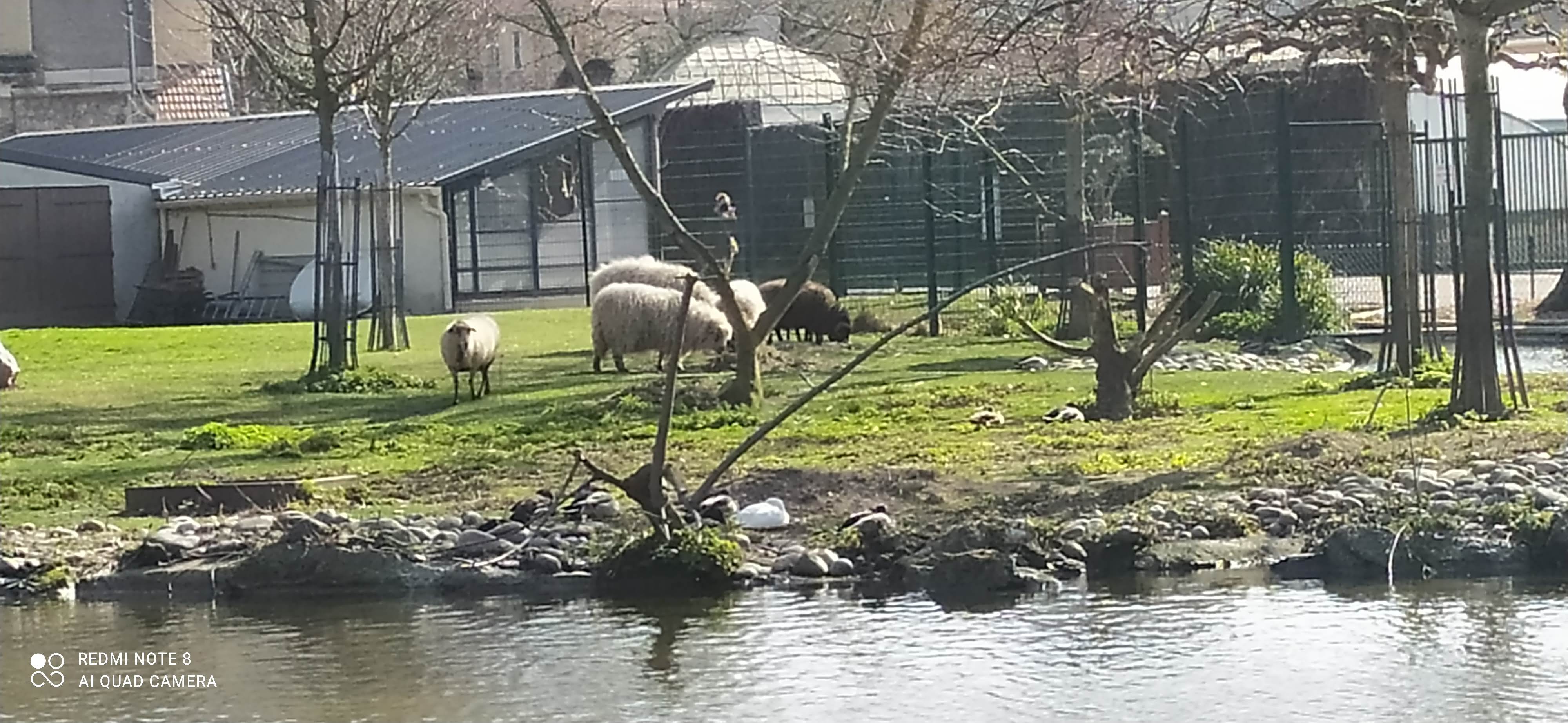 Photo n° 3 de l'avis de Lydie.a fait le 24/02/2021 à 13:44