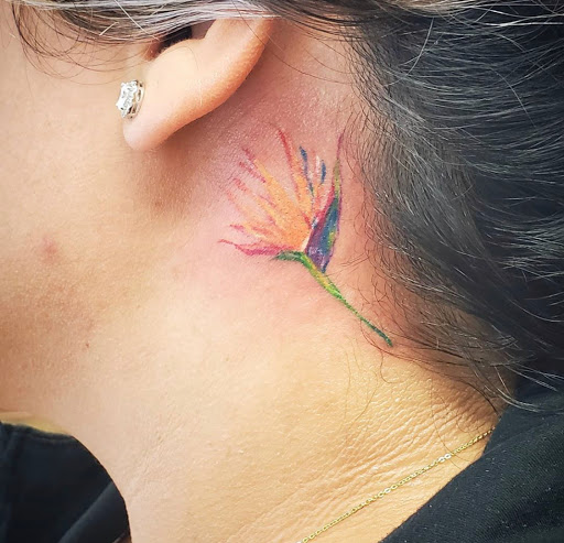 Explore gap filler tattoo background shading ideas, creative tattoo ideas in Kenosha, available at Kenosha Tattoo Company