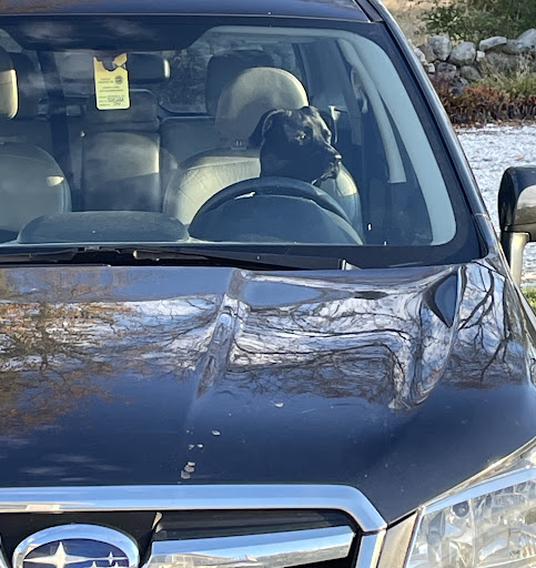 Car Dealer «Somerset Subaru», reviews and photos, 1451 Brayton Point Rd, Somerset, MA 02725, USA