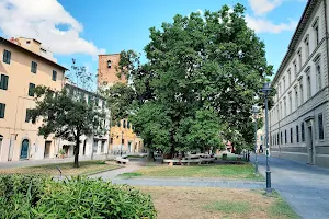 Piazza Dante Alighieri image