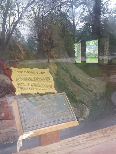 Tourist Attraction «Sycamore Stump», reviews and photos, 1402 Defenbaugh St, Kokomo, IN 46902, USA