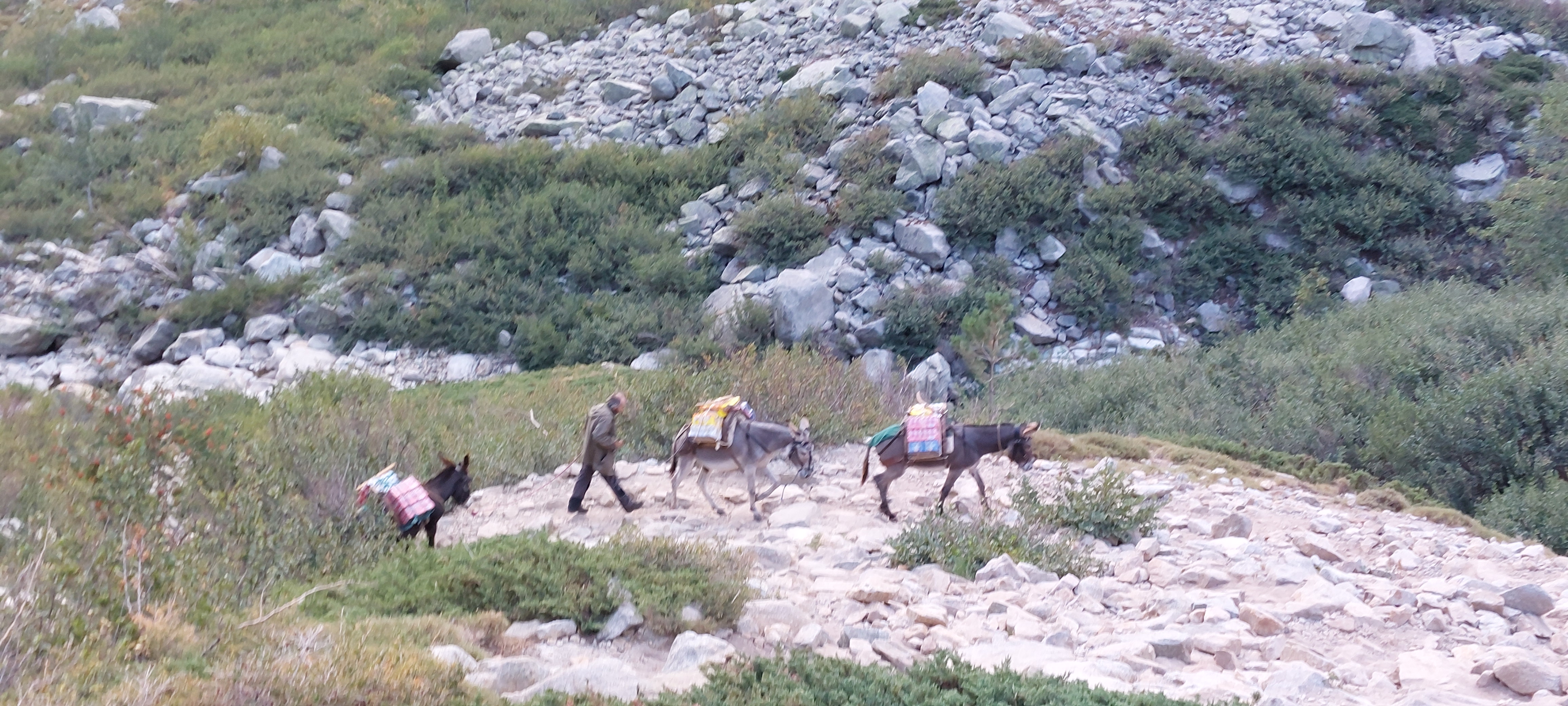Photo n° 2 de l'avis de Frédéric.u fait le 11/08/2022 à 17:12