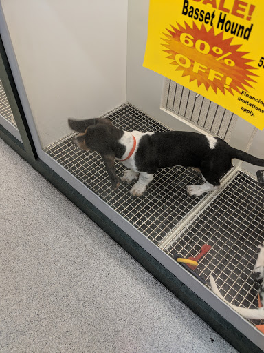 Pet Store «Petland Montgomery», reviews and photos, 7127 Eastchase Pkwy, Montgomery, AL 36117, USA