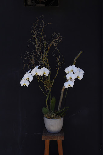 Florist «Wilder Floral Co.», reviews and photos, 1349 Chorro St, San Luis Obispo, CA 93401, USA