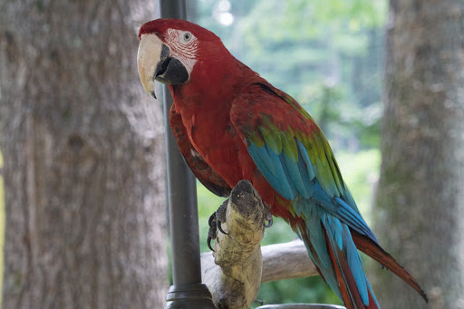 Zoo «Bailiwick Animal Park and Riding Stables», reviews and photos, 118 Castle Rd, Catskill, NY 12414, USA