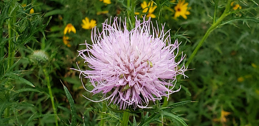 Golf Club «Silver Ridge Golf Course», reviews and photos, 3069 N Hill Rd, Oregon, IL 61061, USA