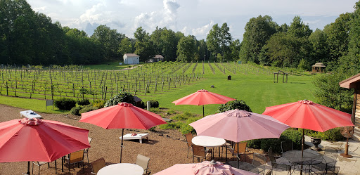 Wedding Venue «Natchez Hills Vineyard. Middle Tennessee Wedding Venue», reviews and photos, 109 Overhead Bridge Rd, Hampshire, TN 38461, USA