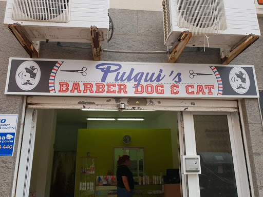 Pulgui's Barber Dog & Cat