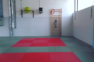 Grappling Collective - Brazilian Jiu Jitsu & Submission Grappling image