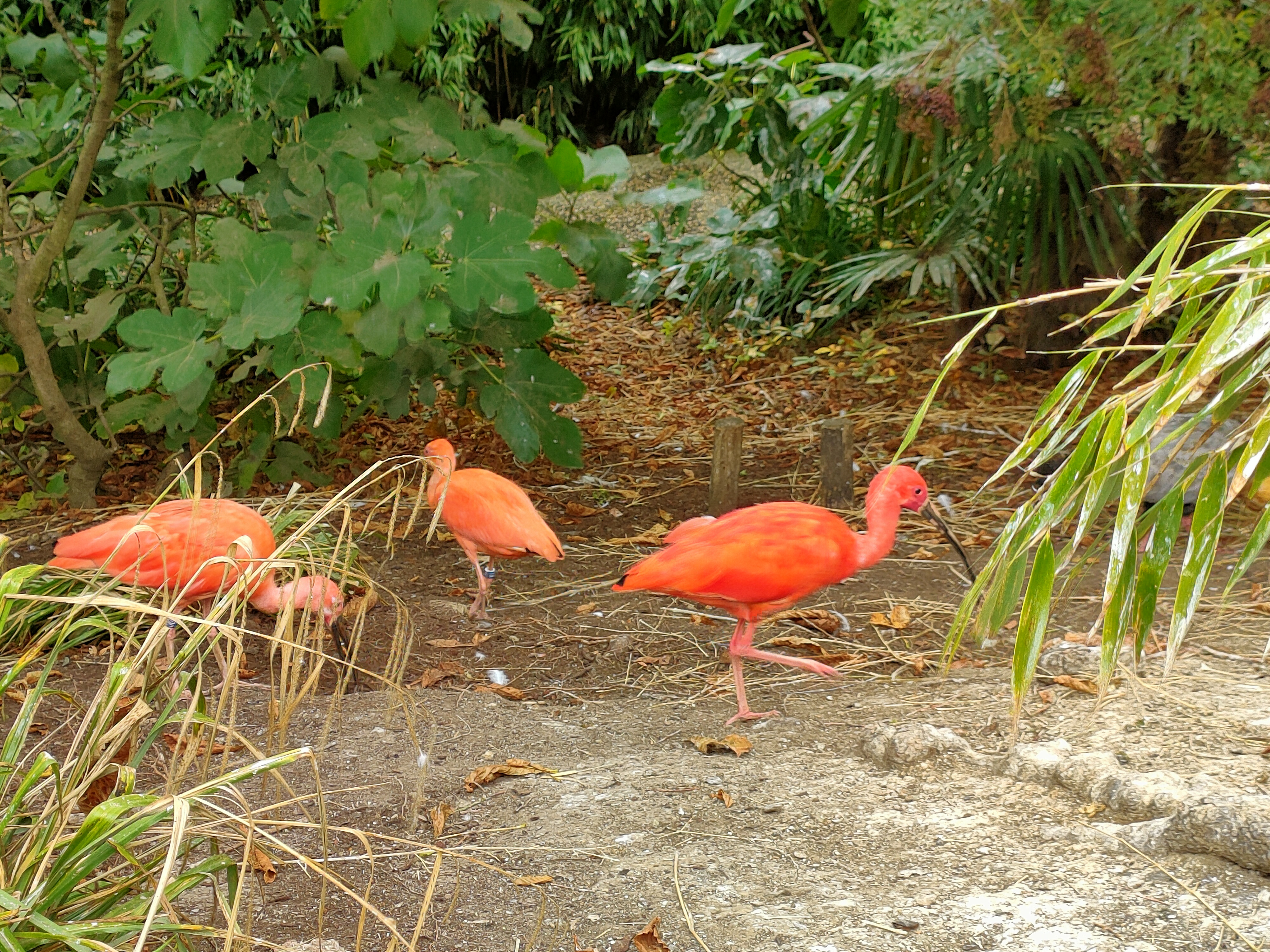 Photo n° 1 de l'avis de sensuella80. fait le 25/08/2022 à 14:17